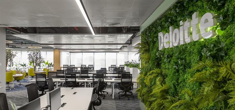 Deloitte Innovation Hub invests $30M in Egypt, plans $80M more over 3 years